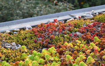 the cost of Aley Green green roof installation