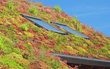 Aley Green living roof systems