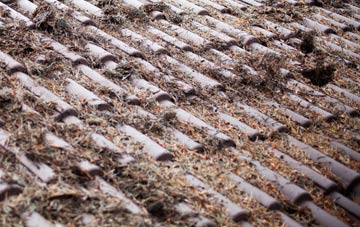 Aley Green roof cleaning companies