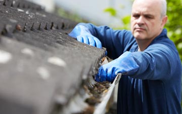 cleaning and inspecting Aley Green roofs