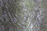 Aley Green fibreglass roof work